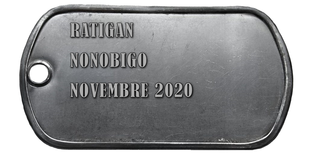 2020-11 NONOBIGO