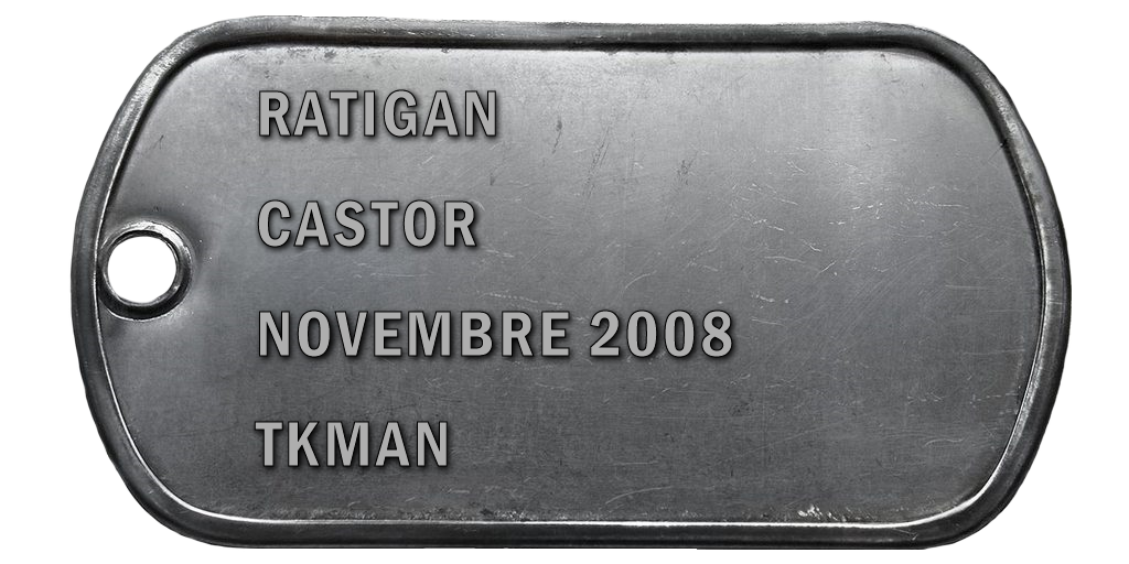 2008-11 CASTOR V2