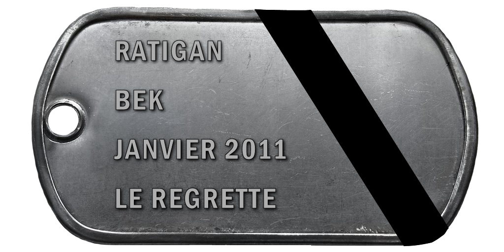 2011-01 BEK V2