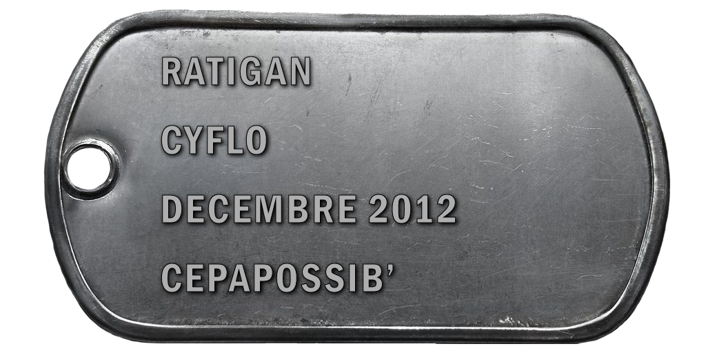 2012-12 CYFLO V2