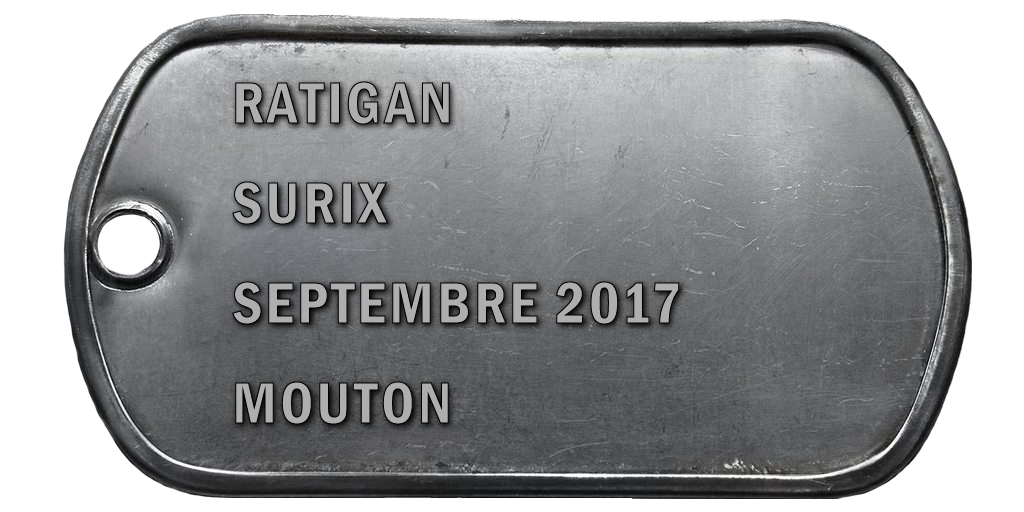 2017-09 SURIX V2