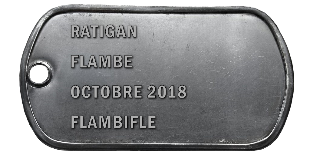 2018-10 FLAMBE V2
