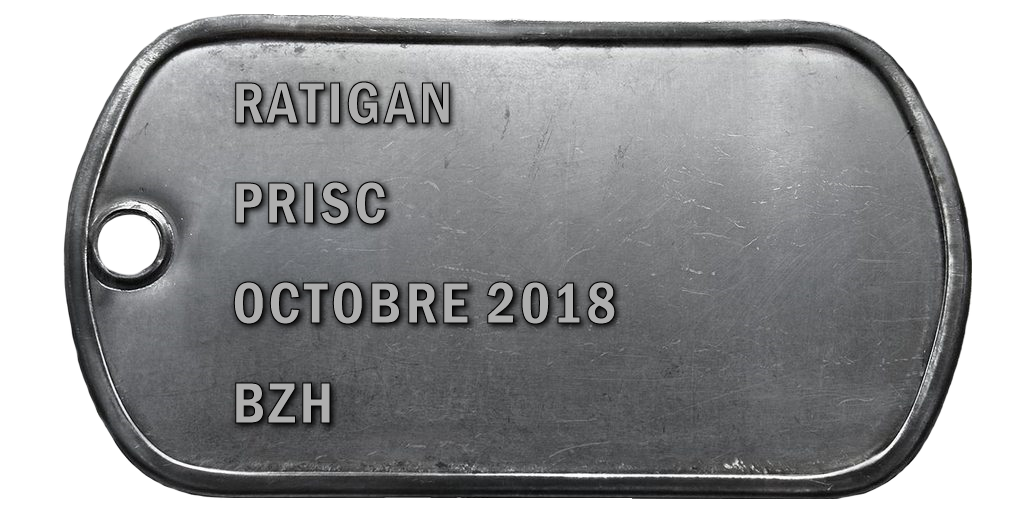 2018-10 PRISC V2