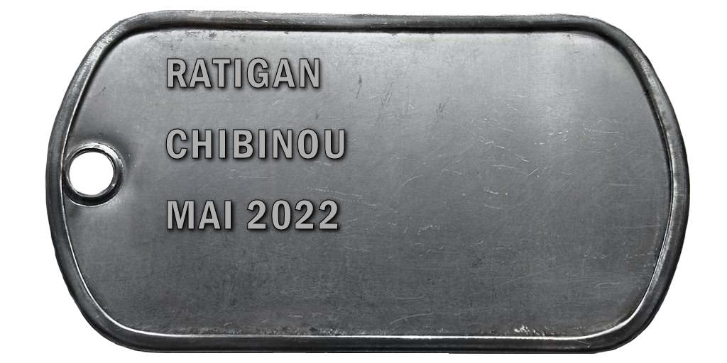 2022-05 CHIBINOU V2